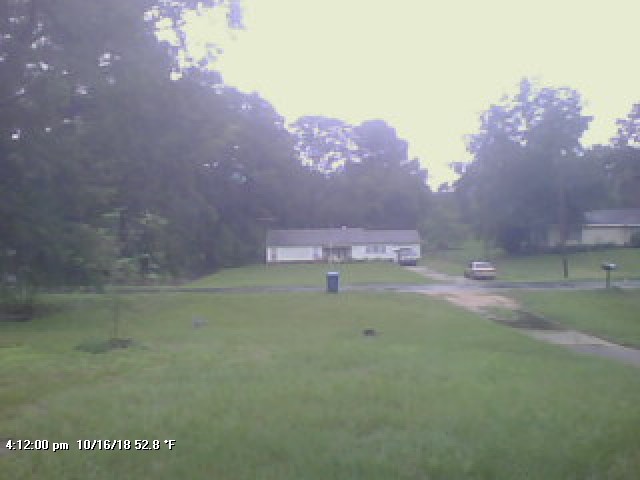 camera Image